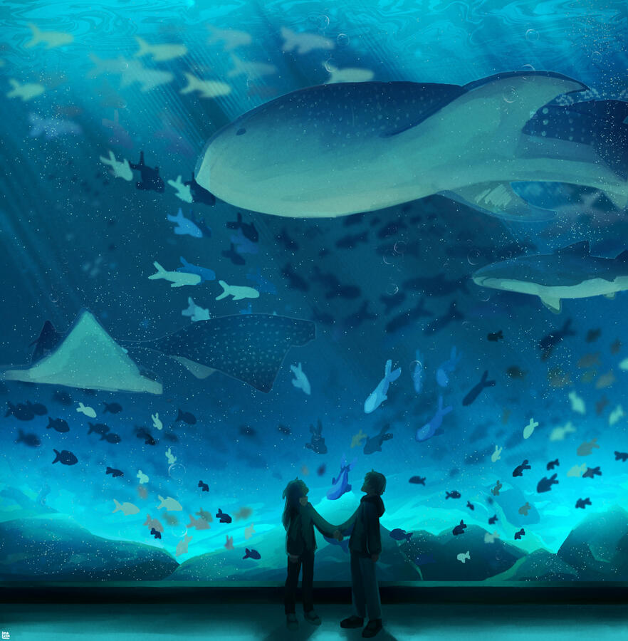 Aquarium Aquarium